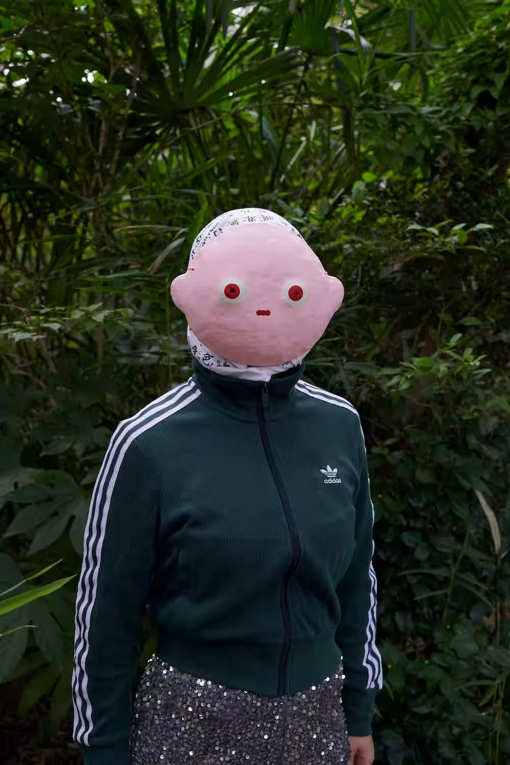 画像7