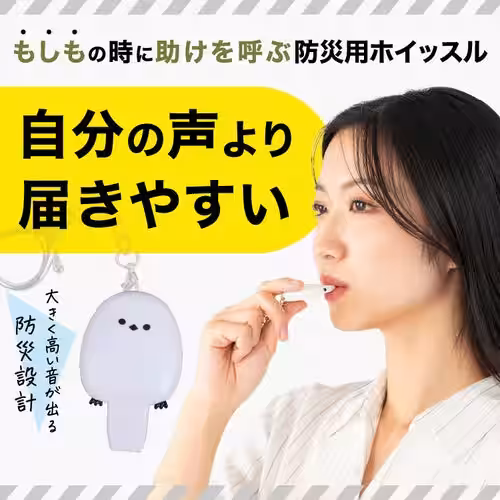 画像18