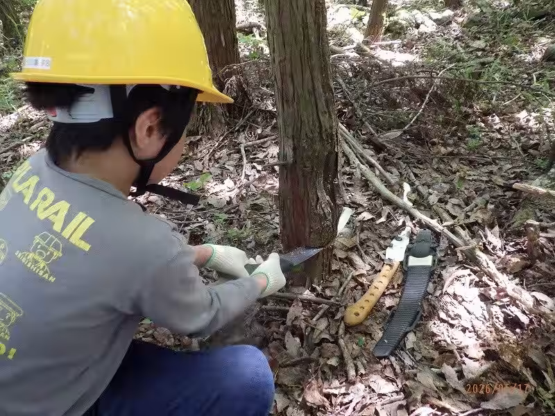 画像6