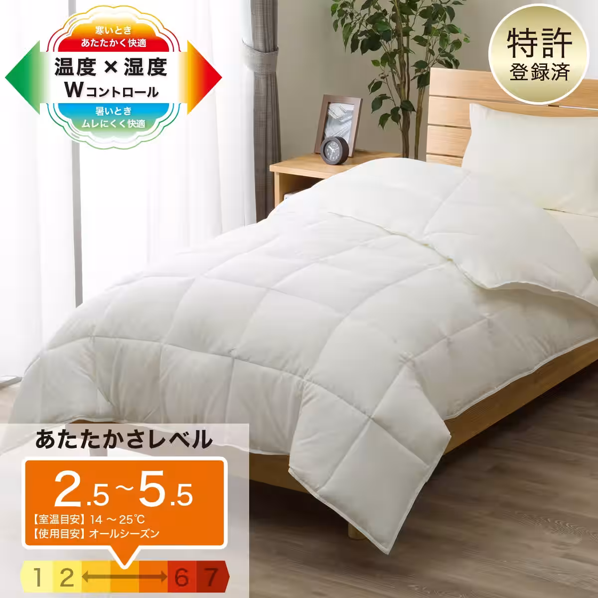 画像10