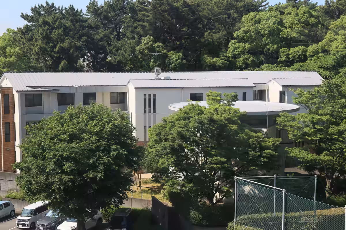 画像5