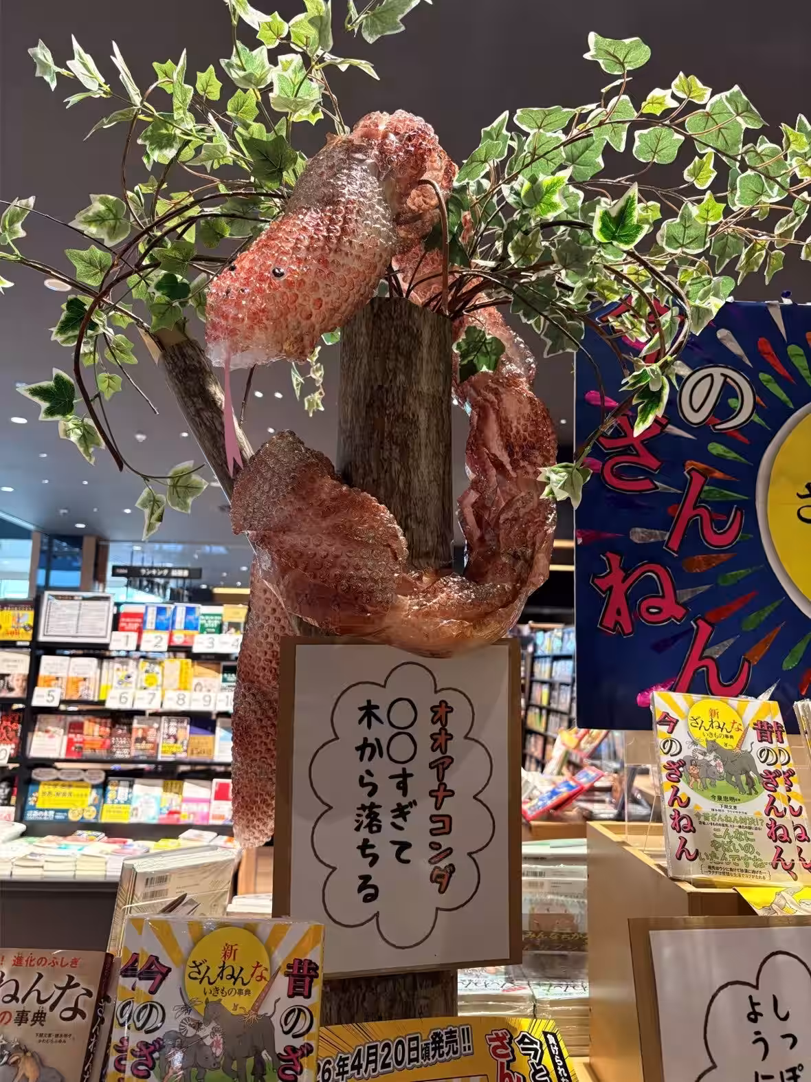 画像10