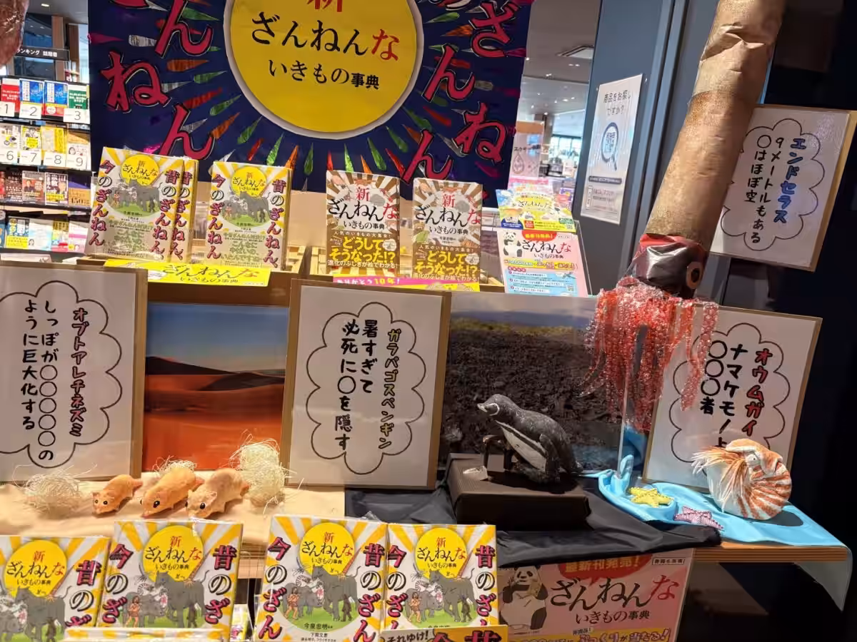 画像4