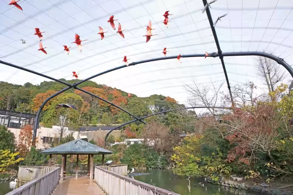 画像7