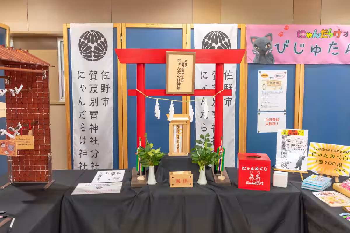 画像8