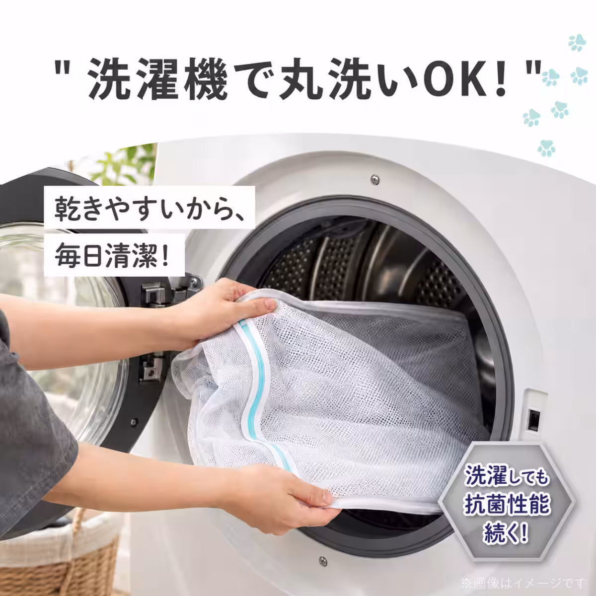 画像4