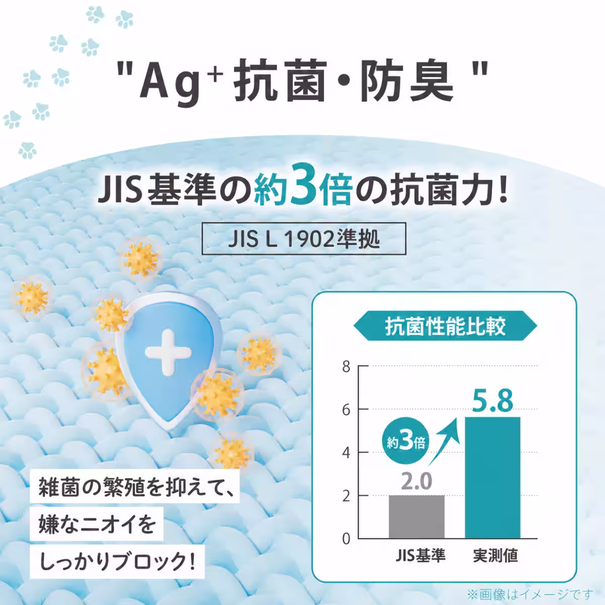 画像7