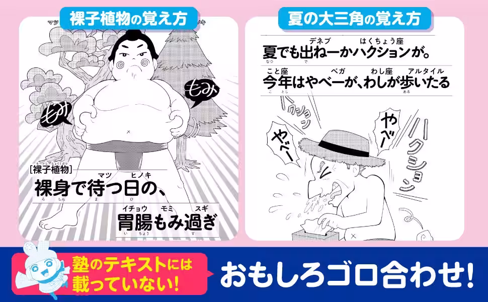 画像2