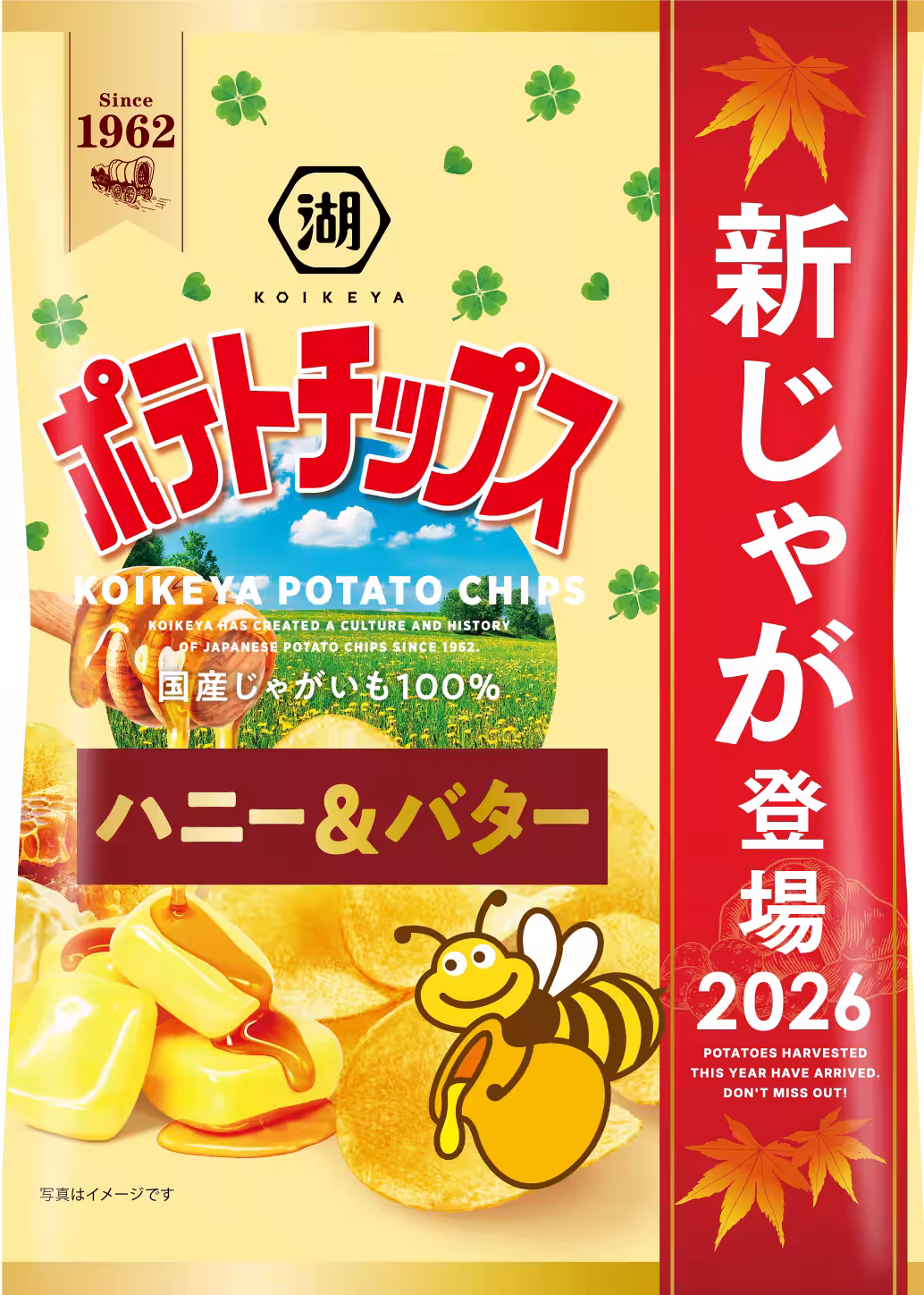 画像7