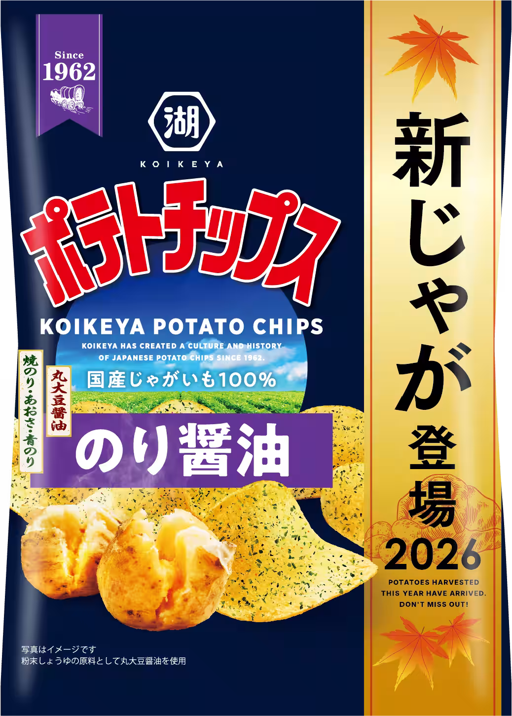 画像4