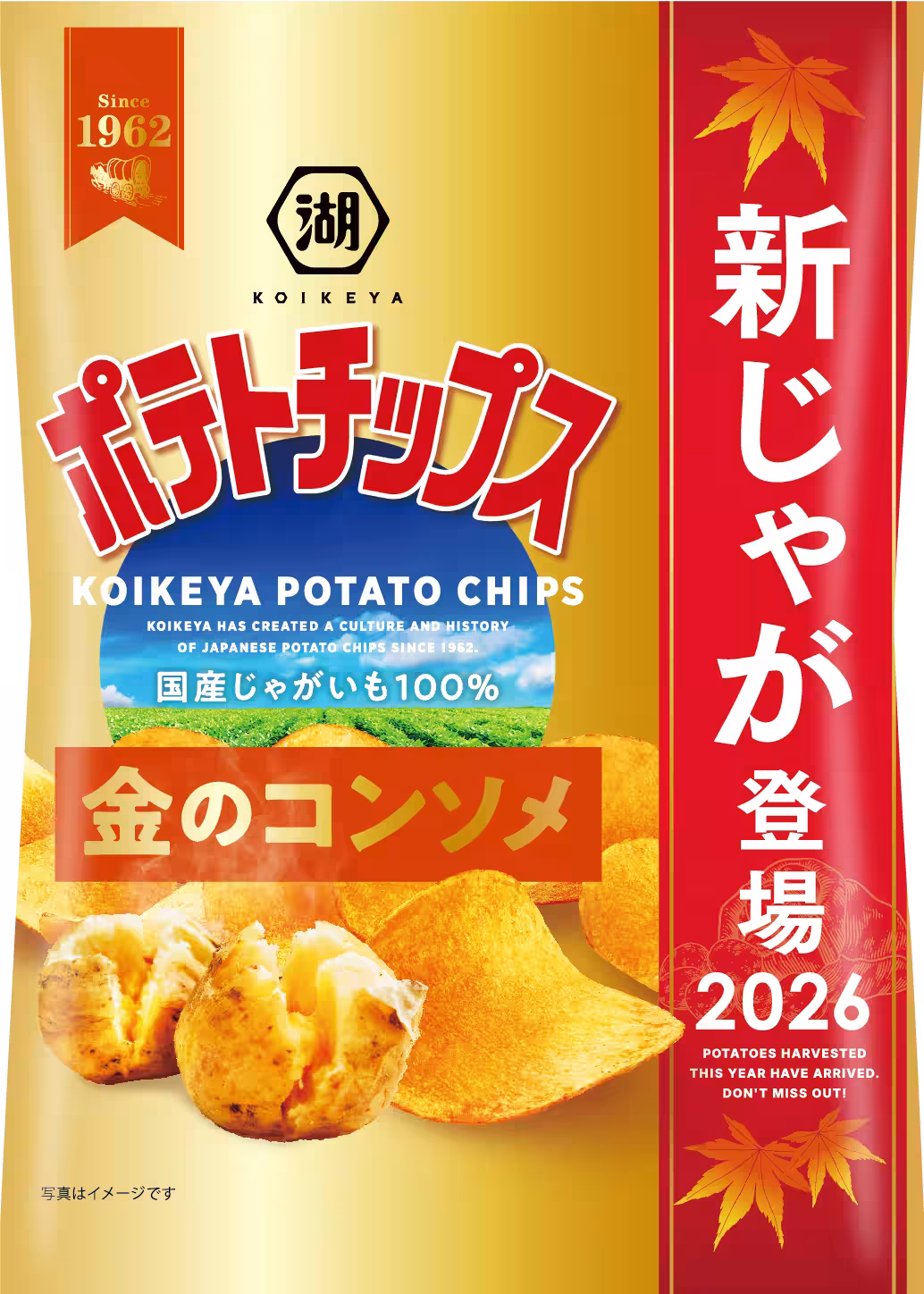 画像8