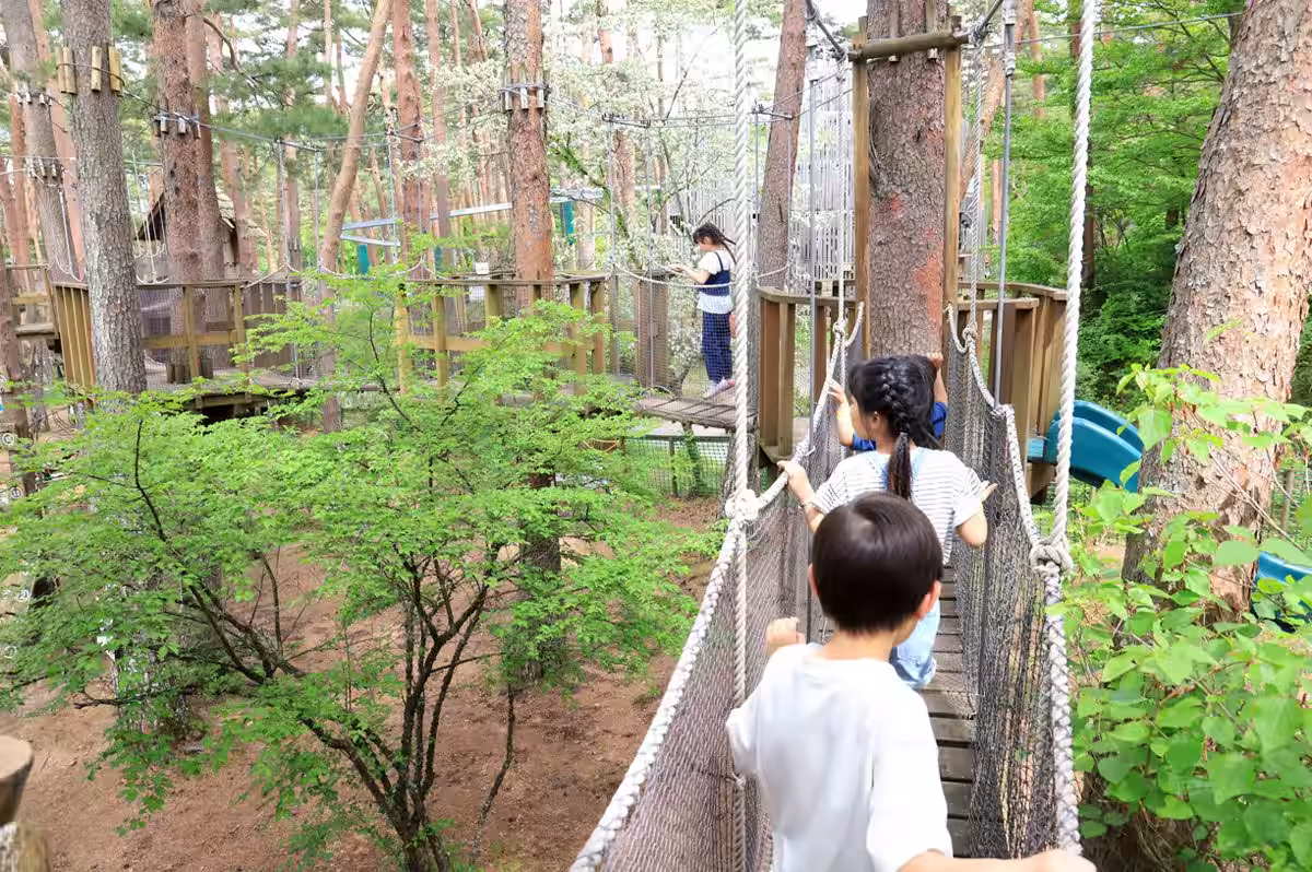 画像12