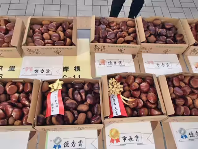 画像11