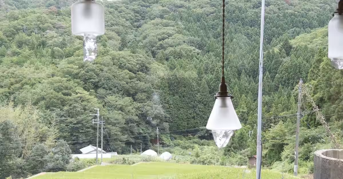 画像8