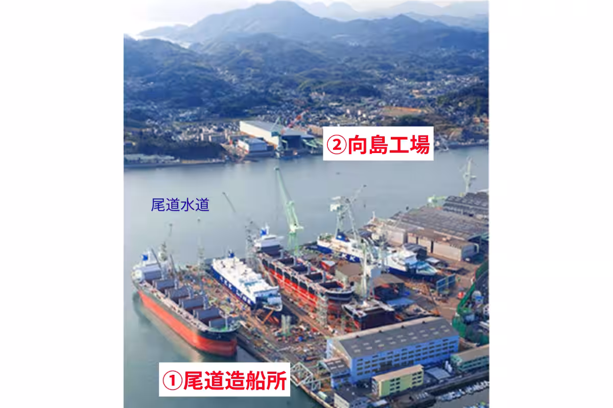 画像6