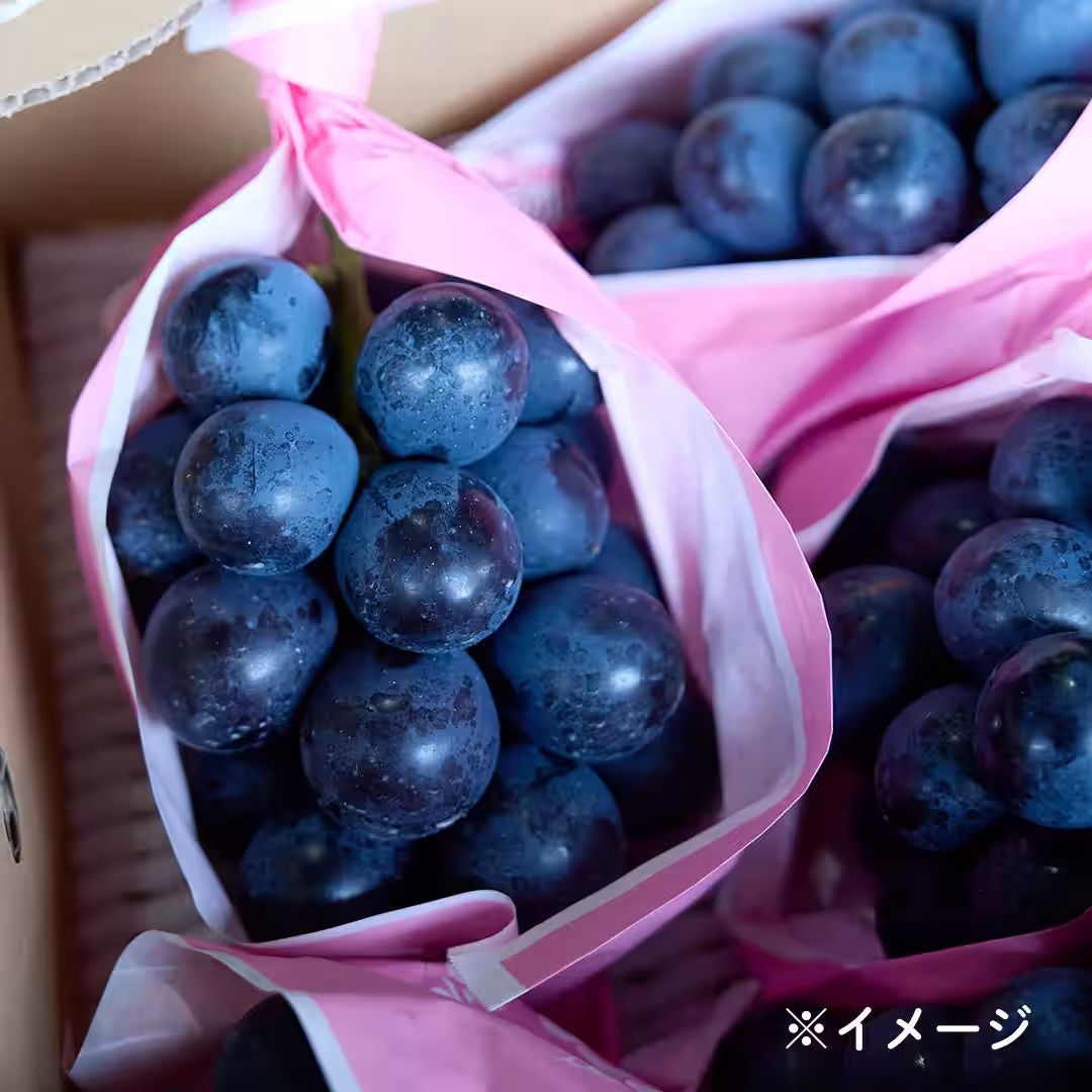 画像6