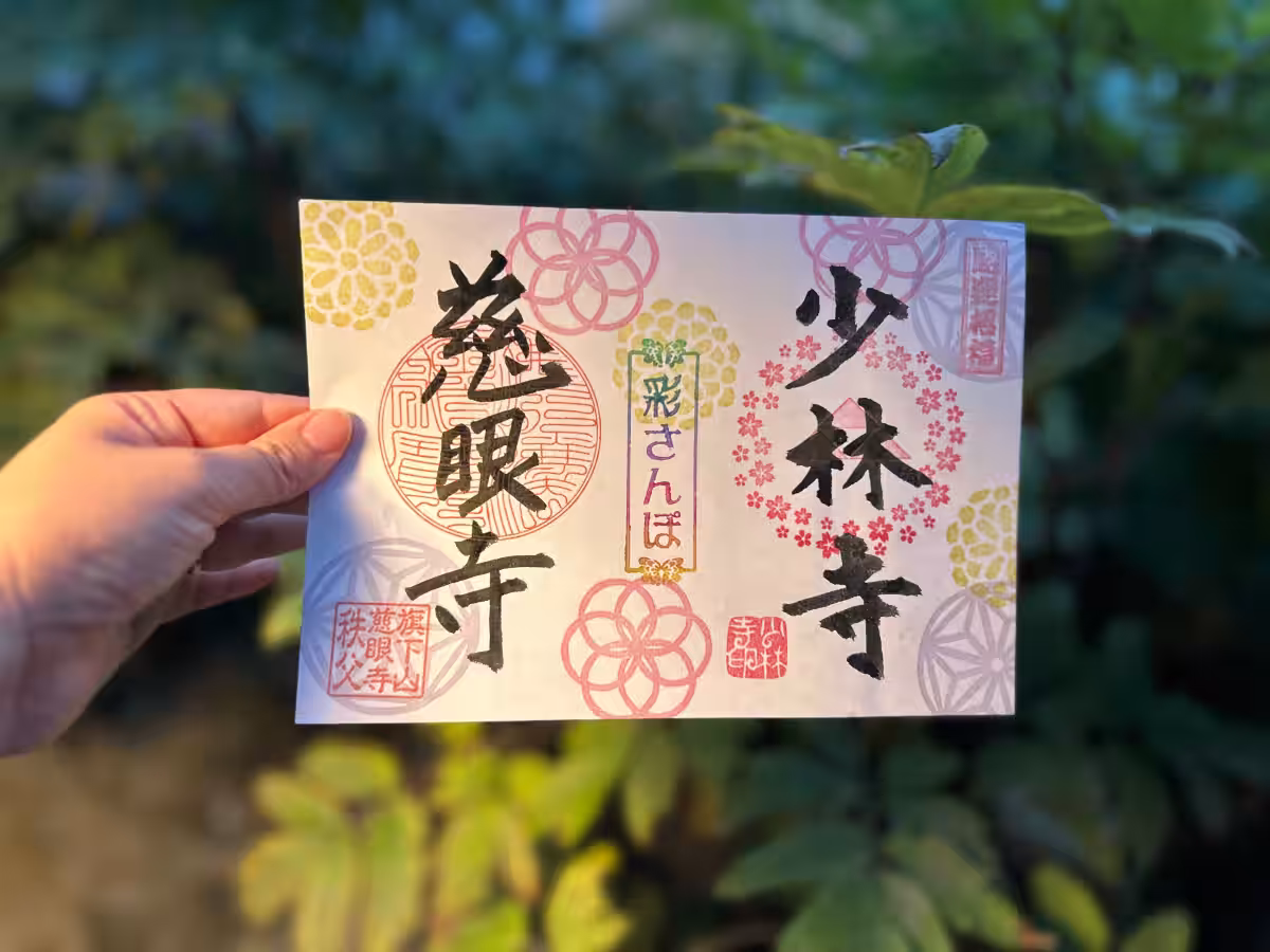 画像5