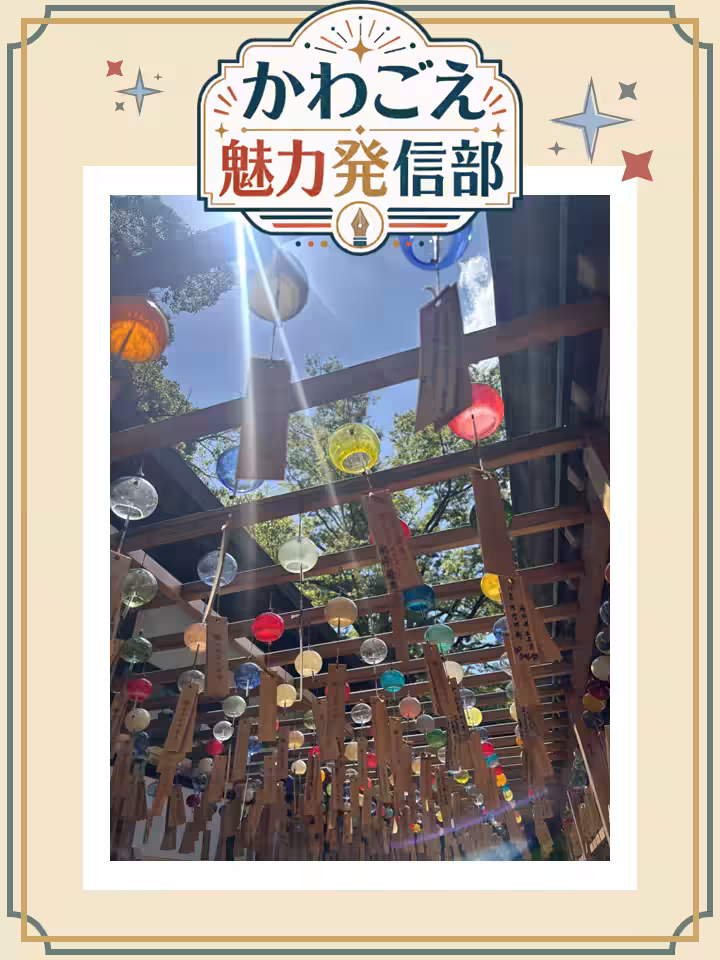画像8