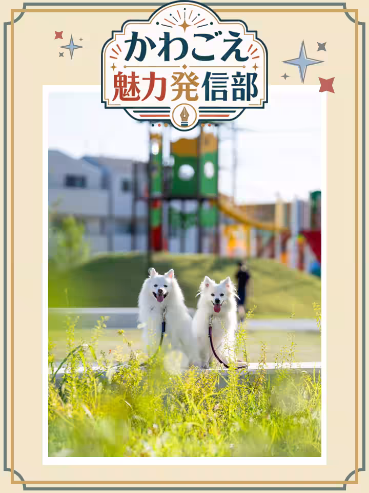 画像6