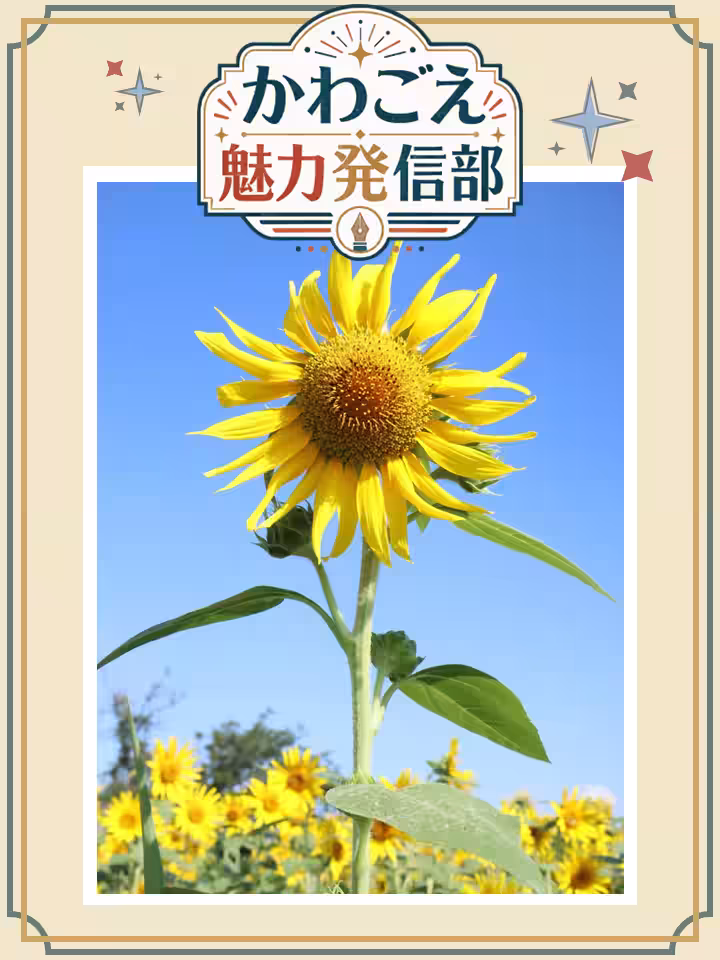 画像14