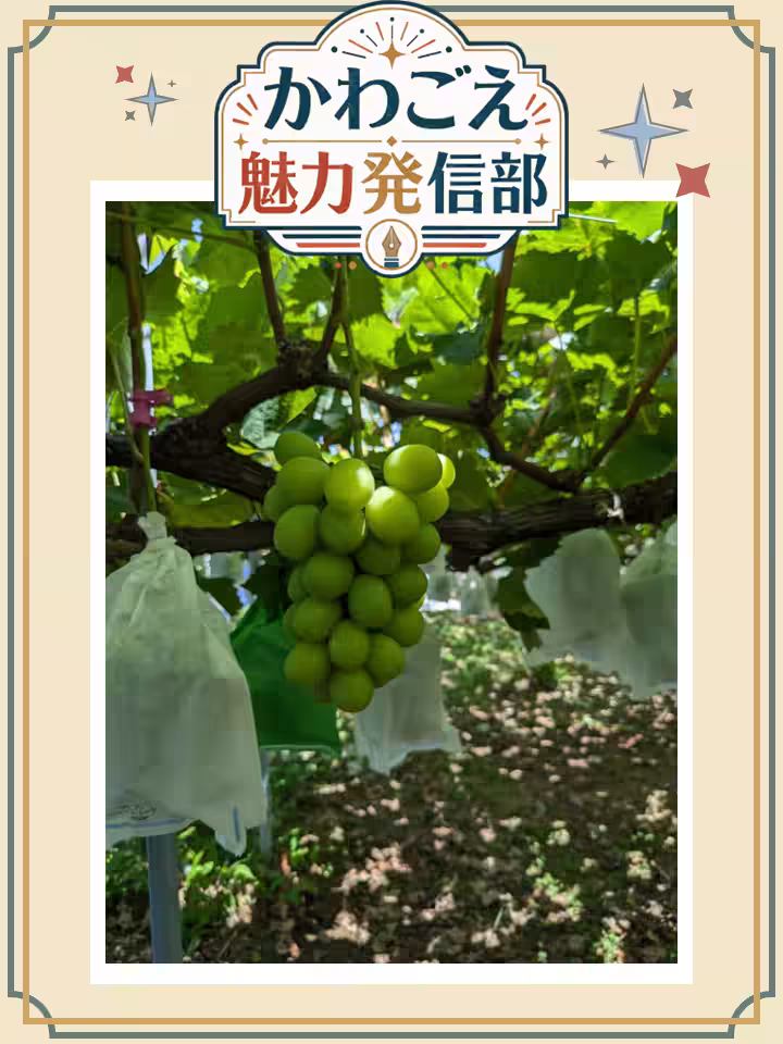 画像4