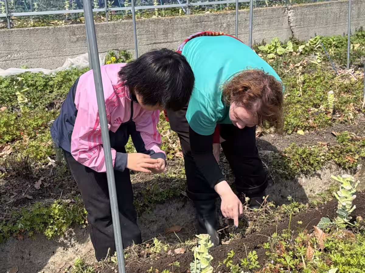 画像11