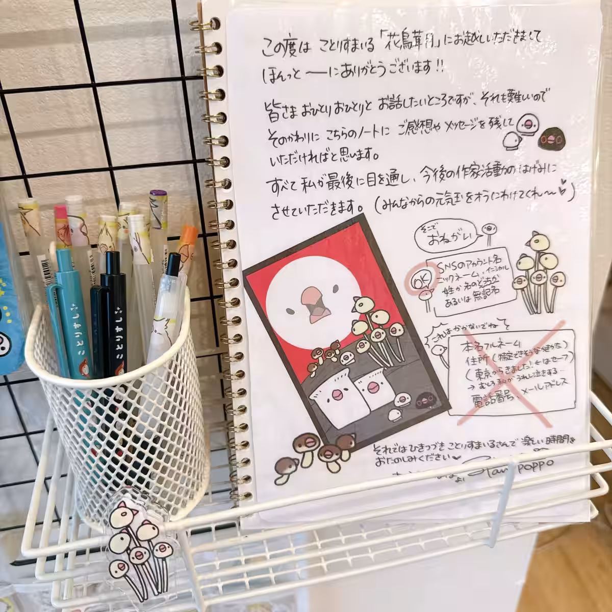画像14