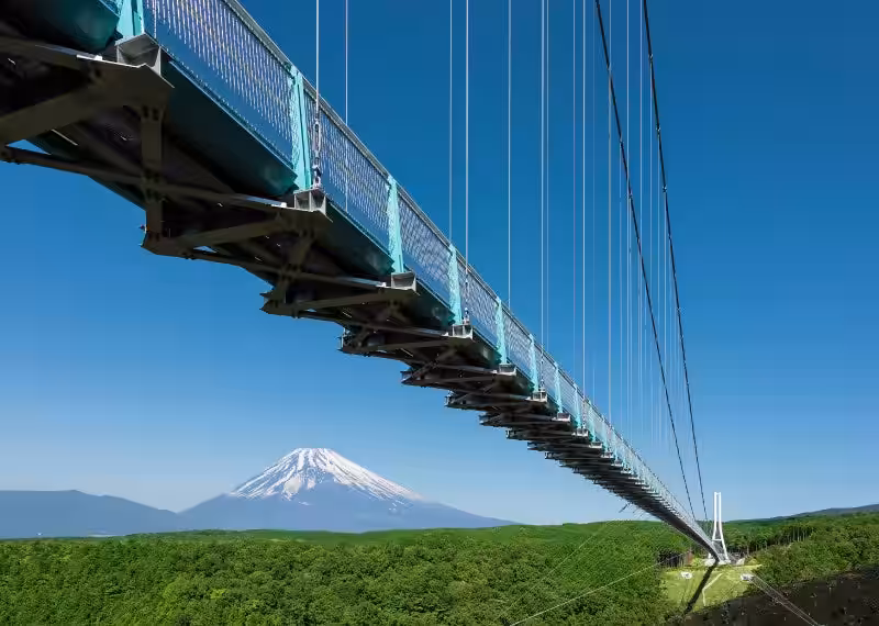 画像12