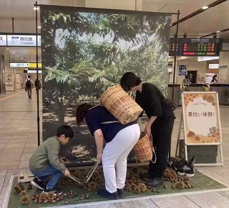 画像19