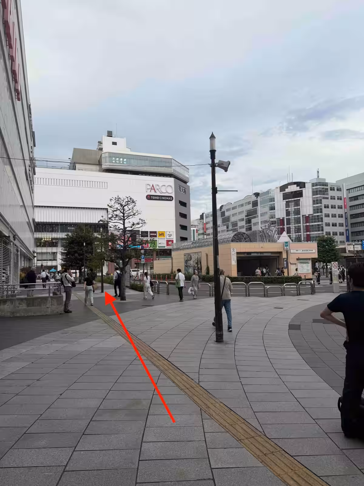 画像7