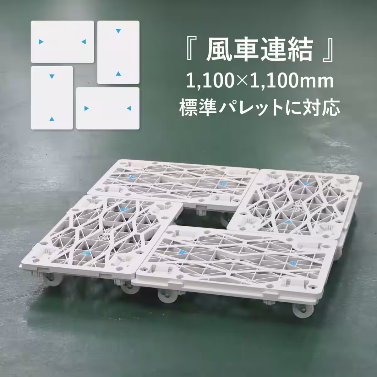 画像13