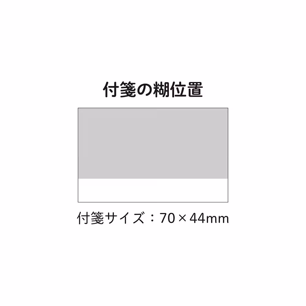 画像12
