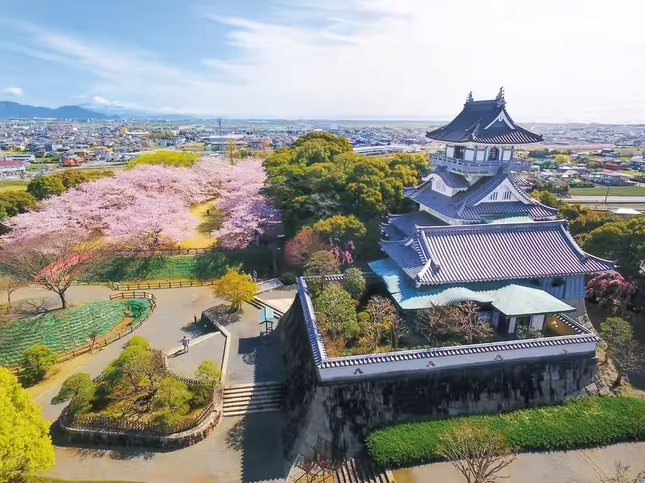 画像3
