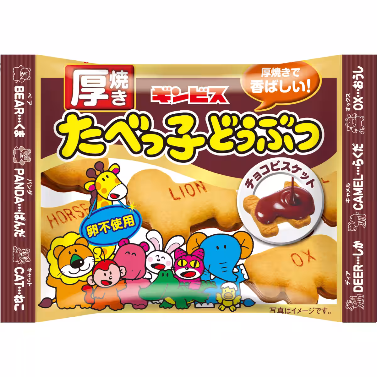 画像8