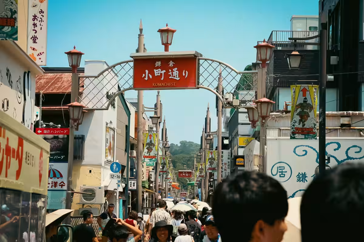 画像12
