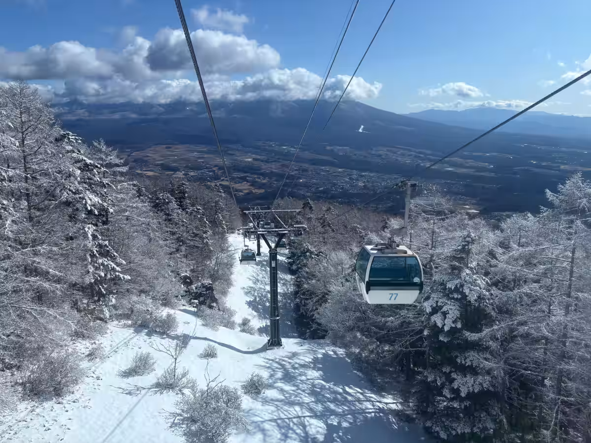 画像5