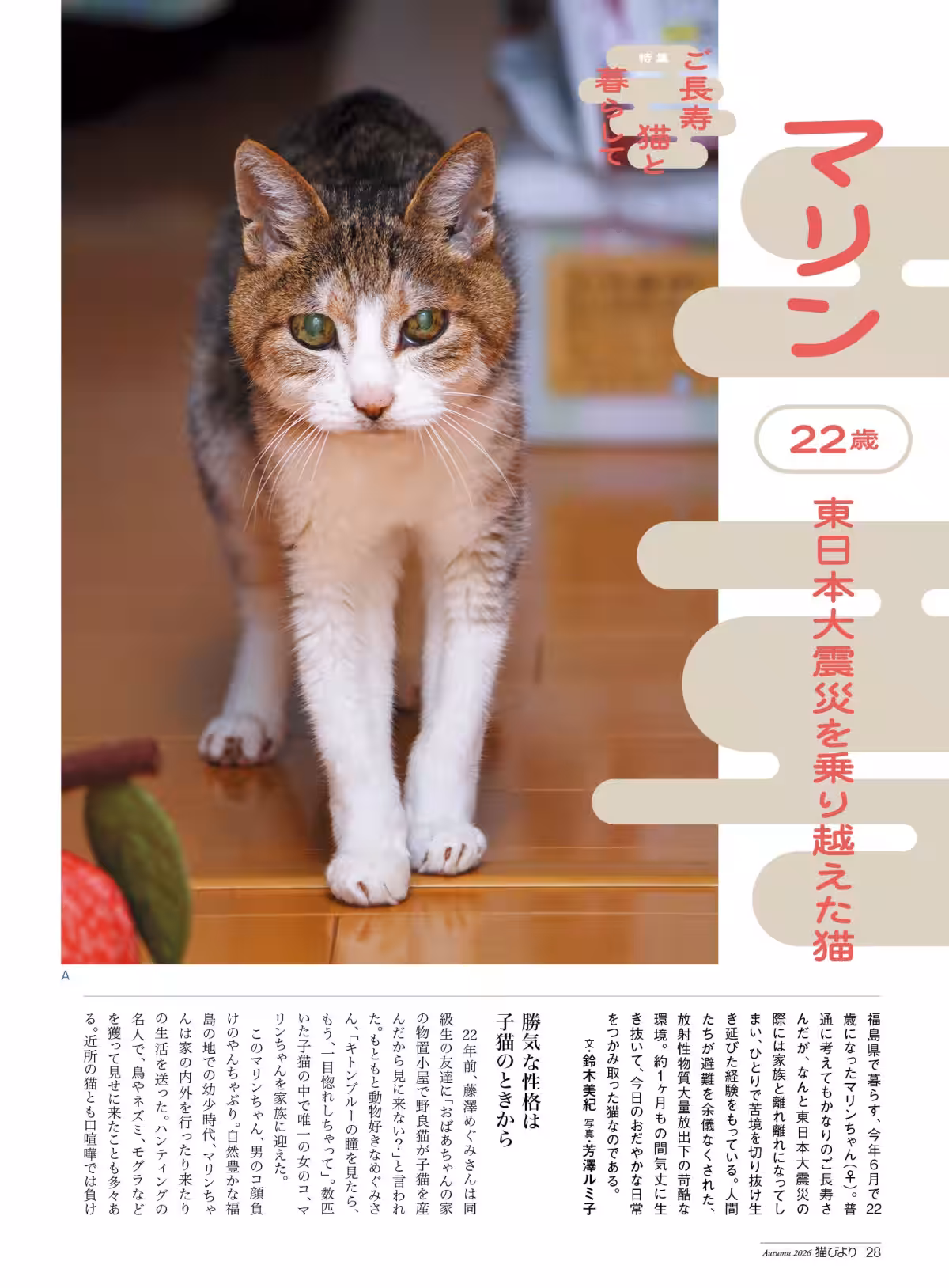 画像6