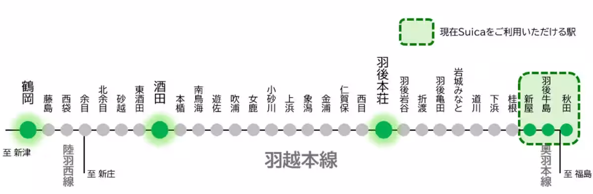 画像12