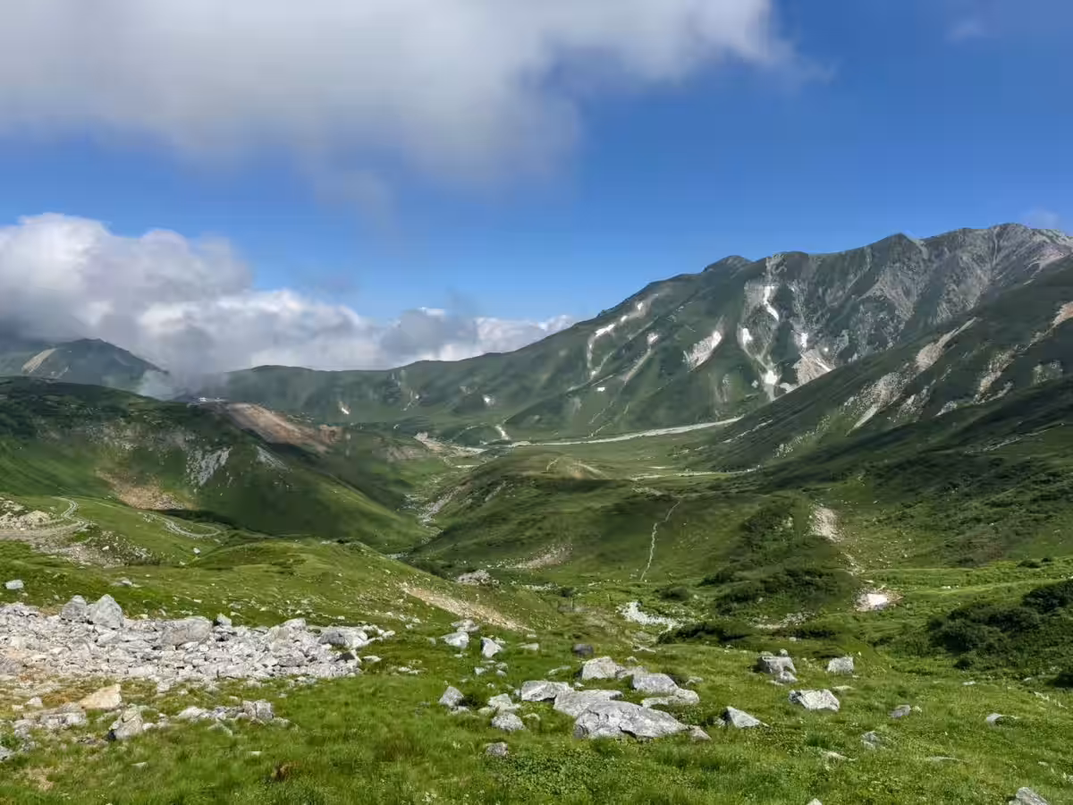 画像8