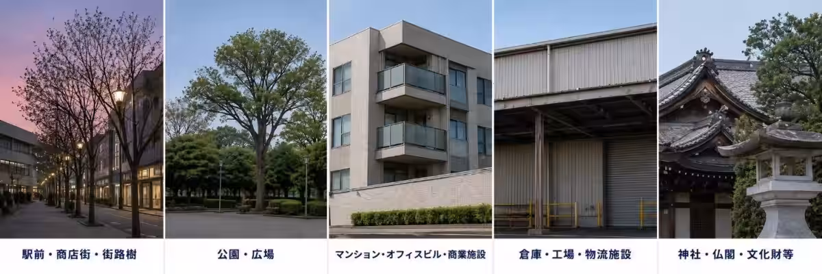 画像8