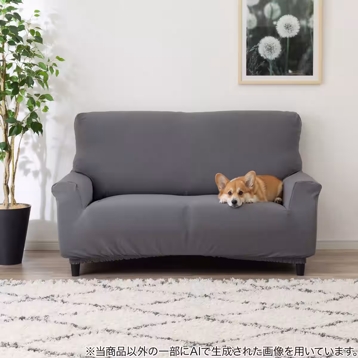 画像5