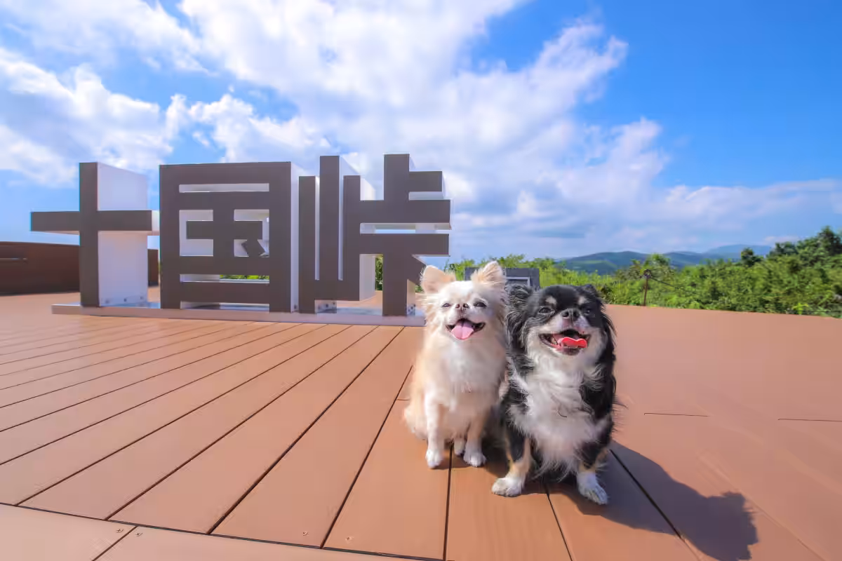 画像7