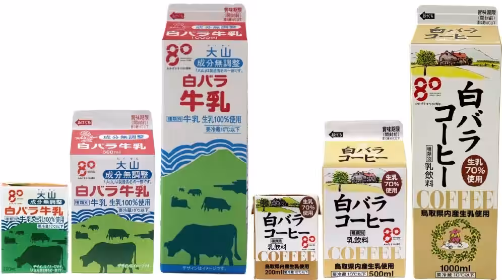 画像8