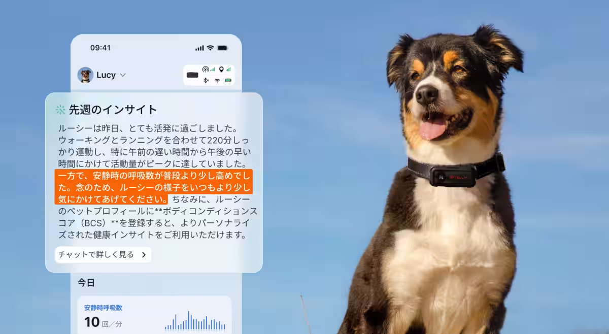 画像10