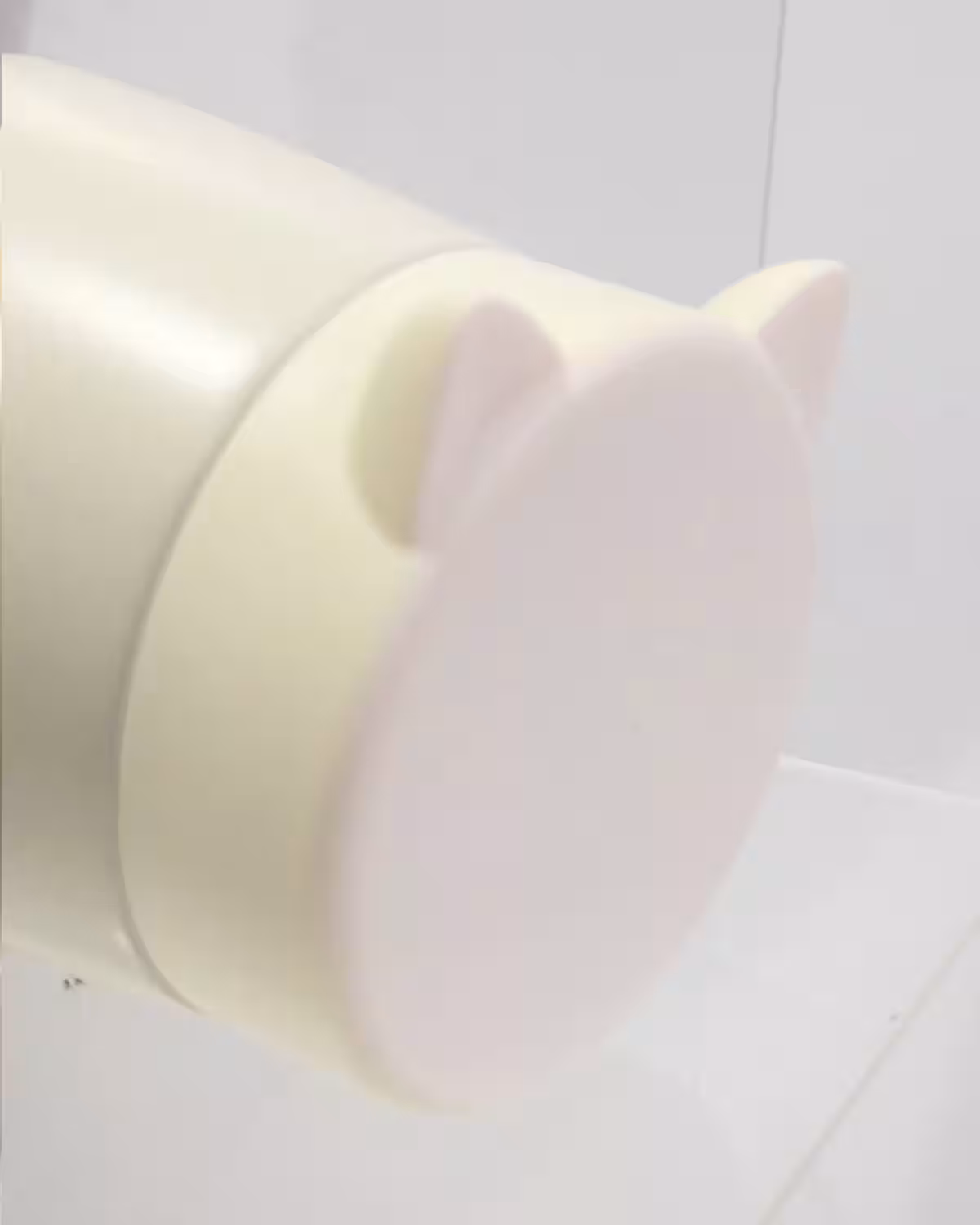画像16
