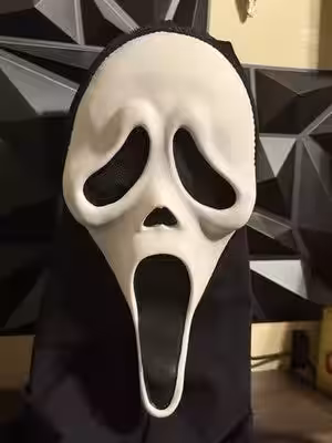 画像7