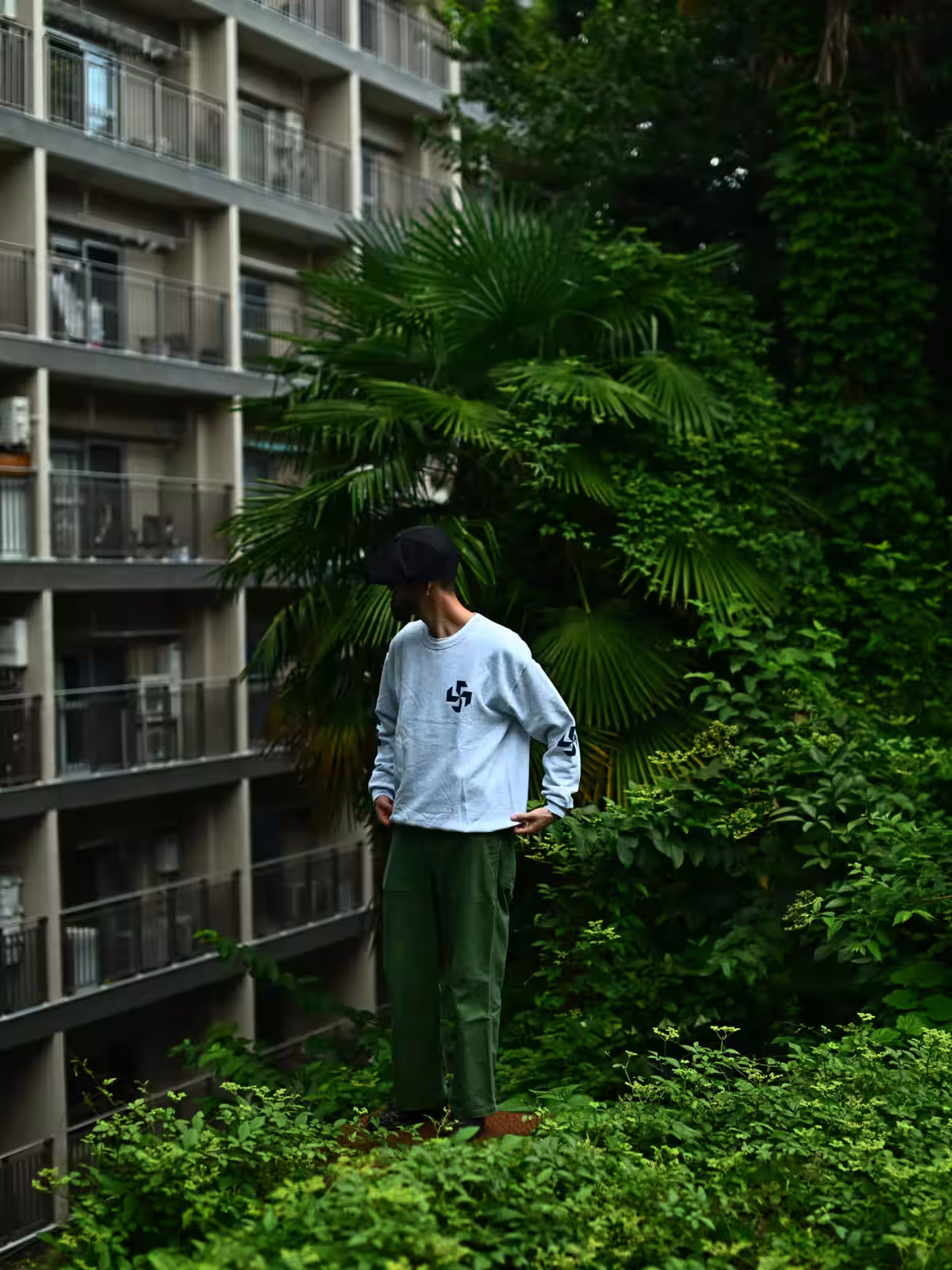 画像6