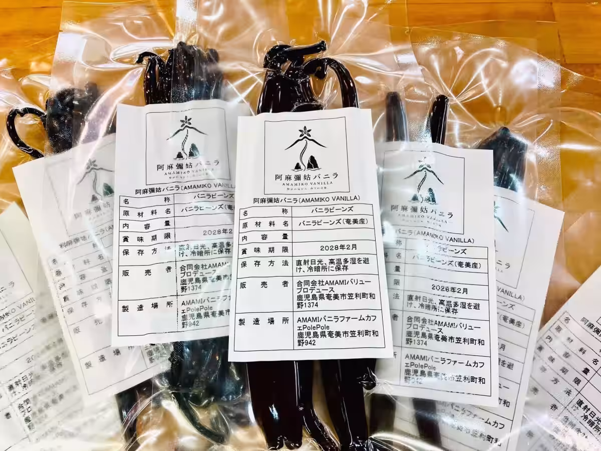 画像12