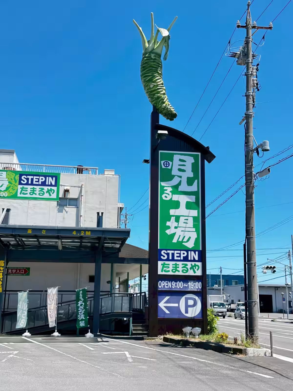 画像8
