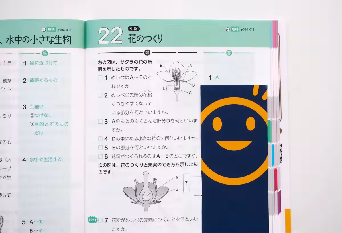 画像7